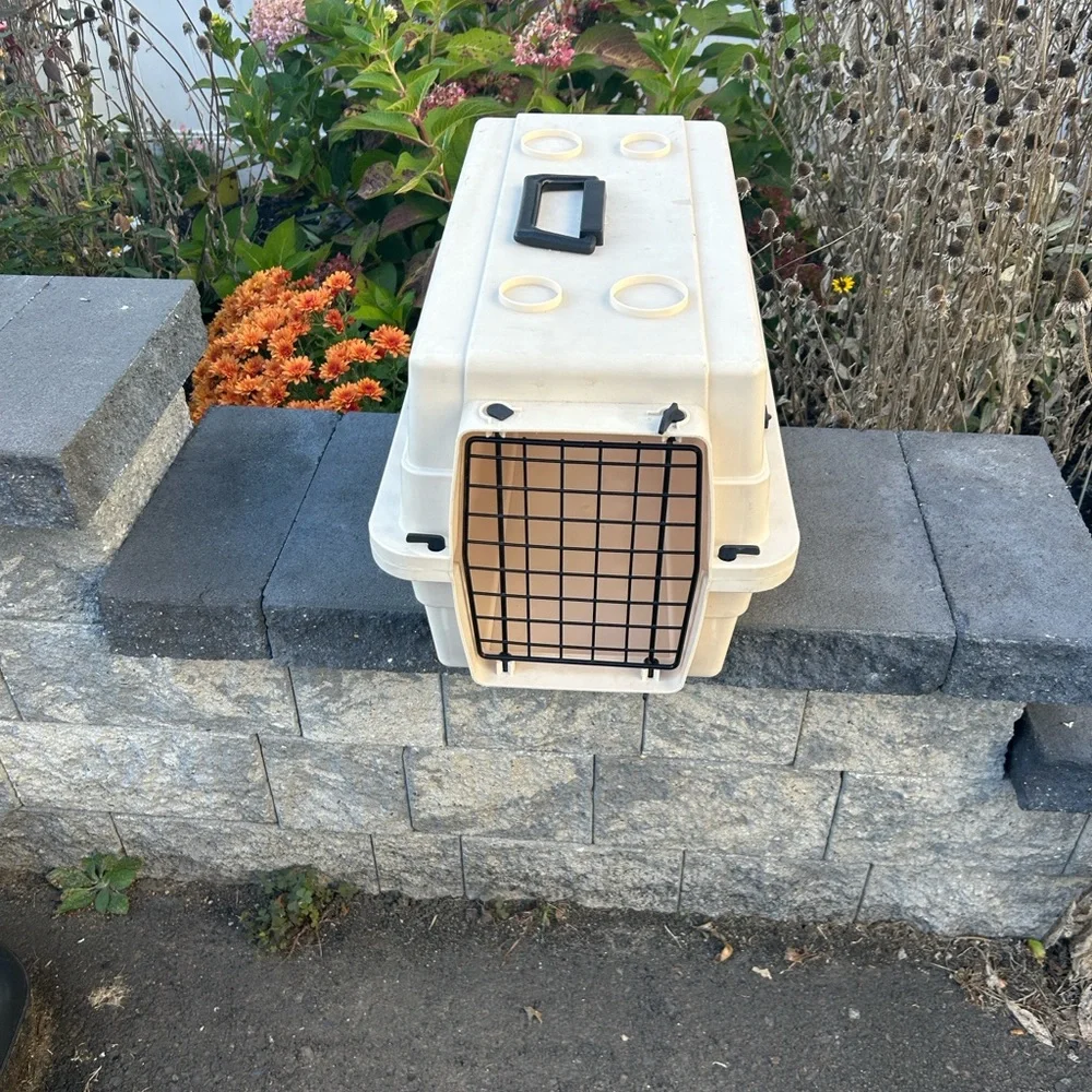 Cream Hard Sided Pet Carrier